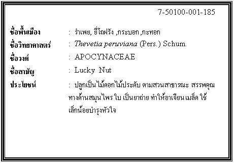 กล่องข้อความ: 7-50100-001-185 ชื่อพื้นเมือง : รำเพย, ยี่โถฝรัง ,กระบอก,กะทอก ชื่อวิทยาศาสตร์ : Thevetia peruviana (Pers.) Schum. ชื่อวงศ์ : APOCYNACEAE ชื่อสามัญ : Lucky Nut ประโยชน์ : ปลูกเป็นไม้ดอกไม้ประดับ ตามสวนสาธารณะ สรรพคุณทางด้านสมุนไพร ใบ เป็นยาถ่าย ทำให้อาเจียน เมล็ด ใช้เล็กน้อยบำรุงหัวใจ